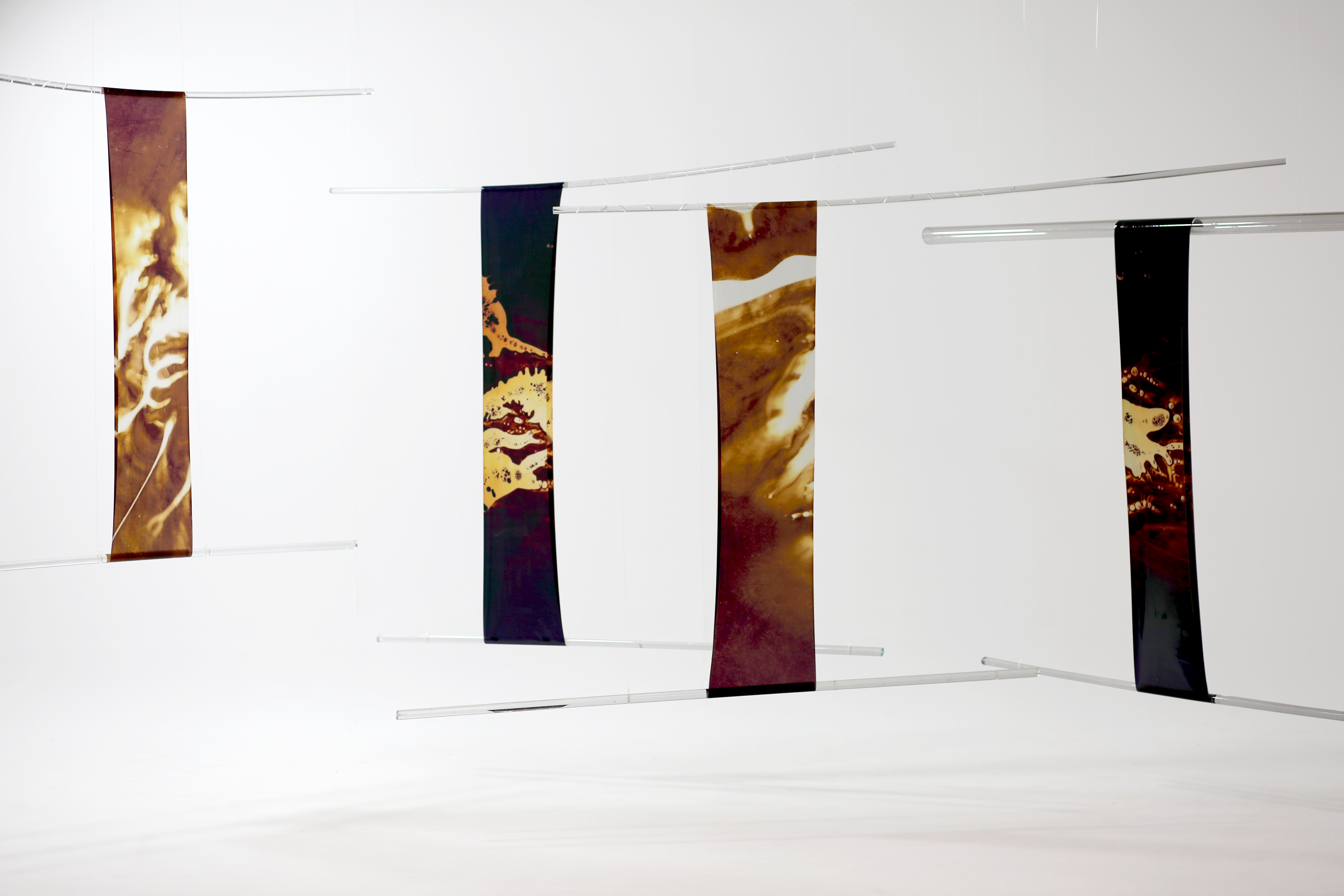 Images_shooting_sira_30_07_2017  (73)._2tif.jpg