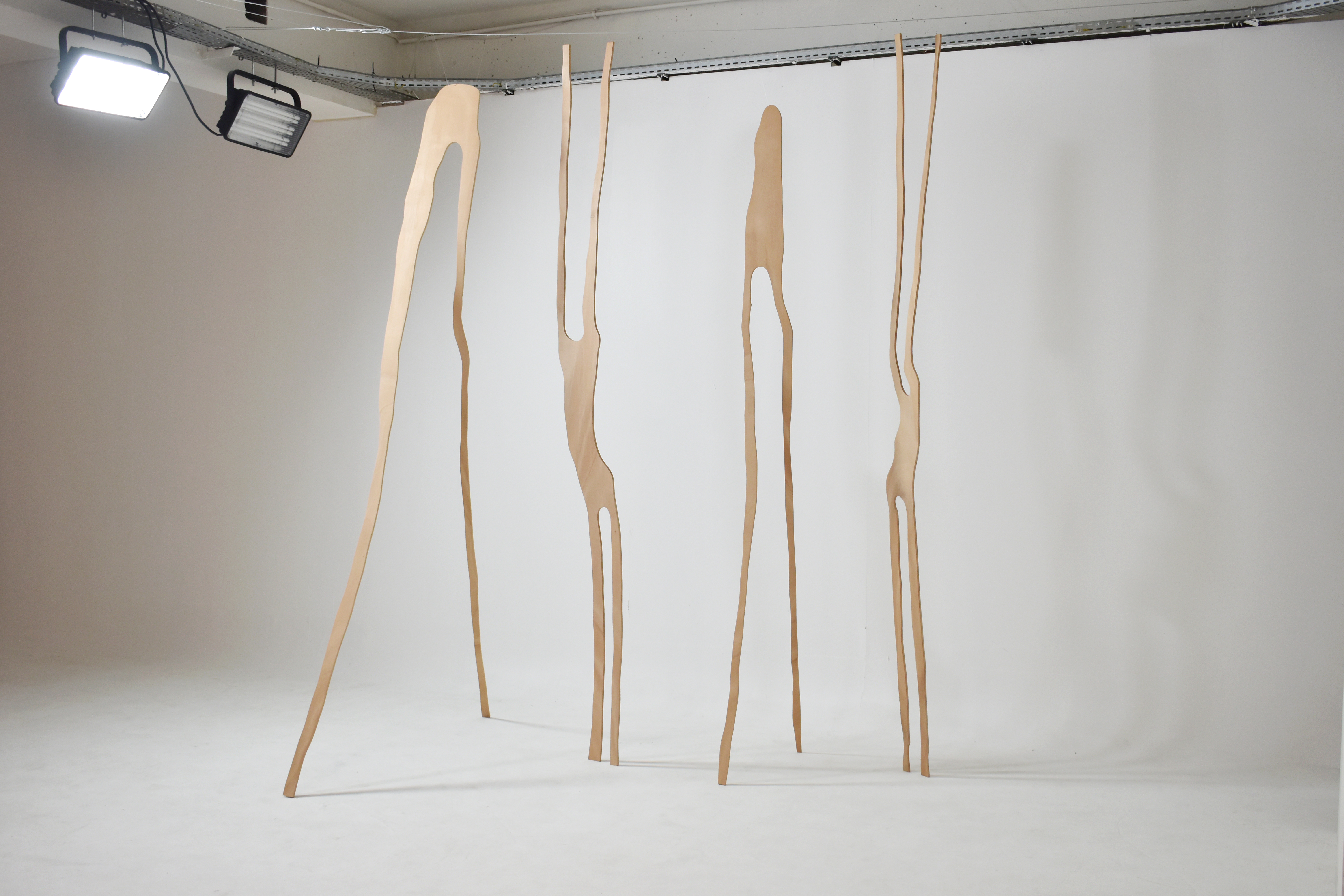 IMG_LesOracles_28.01.2018 (1)