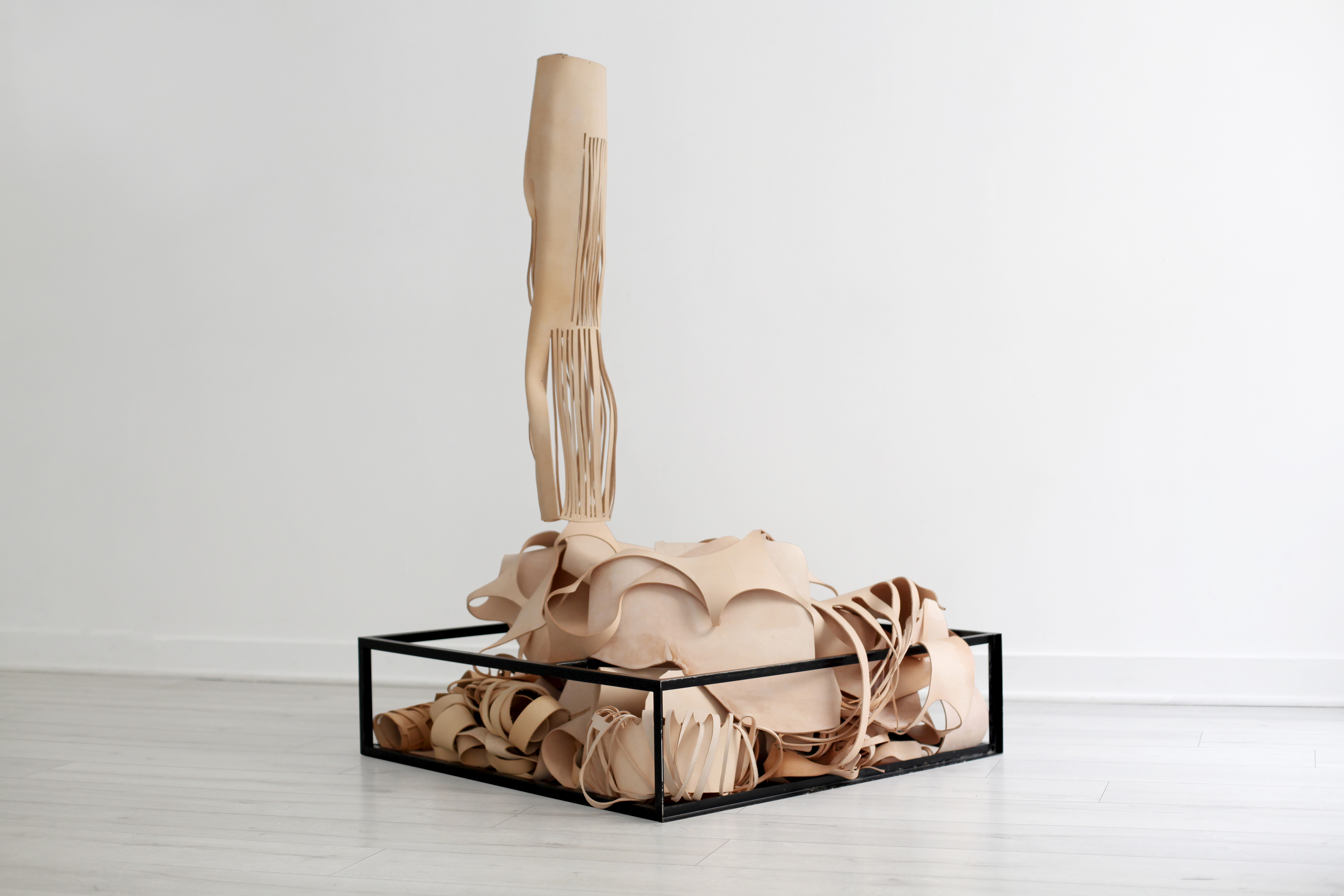 IMG_StillinLife_17-22.10.2019 (3)